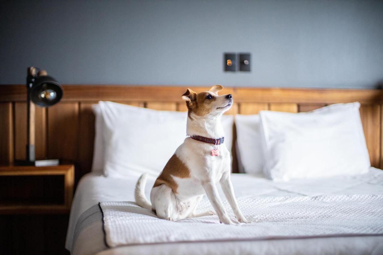 Hotel Bellavista プエルト・バラス エクステリア 写真